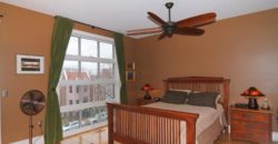 Gorgeous Loft residence at the Escalade Condo on Capitol Hill- 526 13th St #B SE