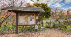 Studio in Glover Park – City Living with a Peaceful, Natural Backdrop – 2325 42nd St #216 NW
