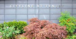 1BR, 1BA with Courtyard View & Unbeatable Metro Access – 4101 Albemarle St NW #306