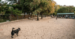 Stunning 1BR, 1BA Condo with Private Entrance & Private, Landscaped Patio! – 4224 32nd Street, S