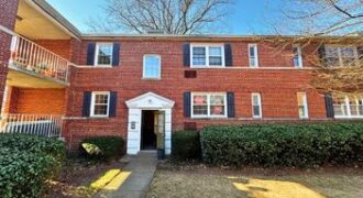 Updated, Fully Furnished 1BR Condo in Arlington Oaks – 4372 N Pershing Dr. #2